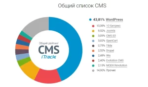 Как выбрать платформу для создания сайта WordPress, Tilda или онлайн-конструкторы?